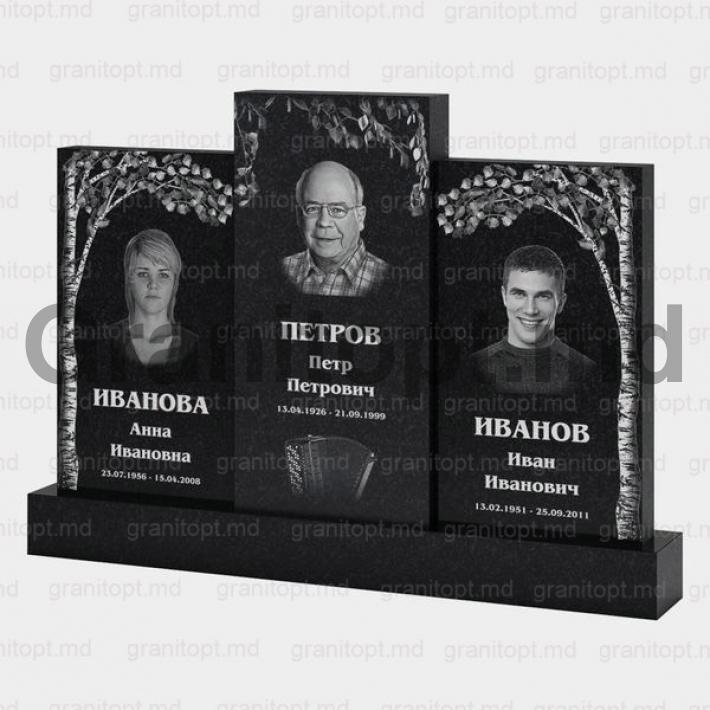 Гранитный памятник N302